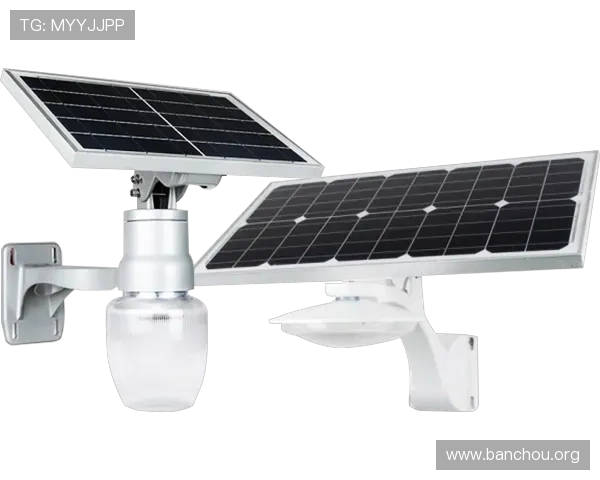 欧博ABG代理入口最新版本下载与升级指南确保软件稳定运行