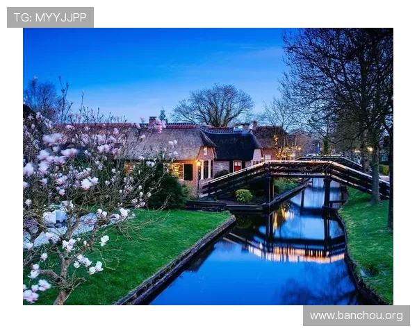 荷兰欧博：分析其在荷兰及欧洲市场的品牌影响力与市场份额